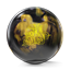 Picture of Storm Tropical Surge - Gold/Black